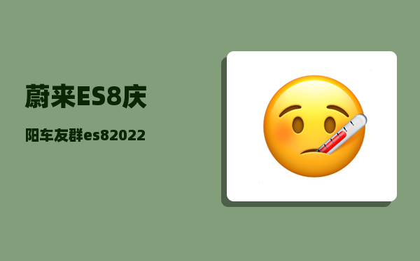 蔚来ES8庆阳车友群_es82022款和2023款区别-图1