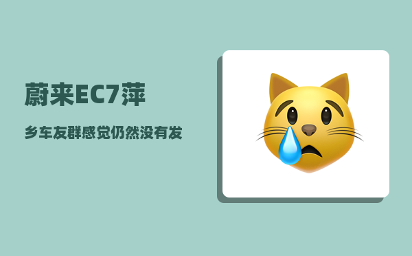 蔚来EC7萍乡车友群_感觉仍然没有发展出真正的民族品牌-图1