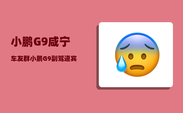 小鹏G9咸宁车友群_小鹏G9副驾迎宾座椅如何设置-图1