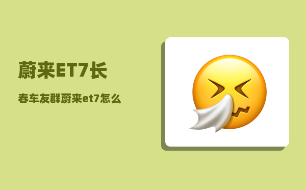 蔚来ET7长春车友群_蔚来es7如何调整仪表盘-图1