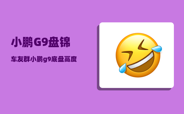 小鹏G9盘锦车友群_小鹏g9底盘高度-图1