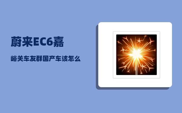 蔚来EC6嘉峪关车友群_国产车该怎么起名-图1