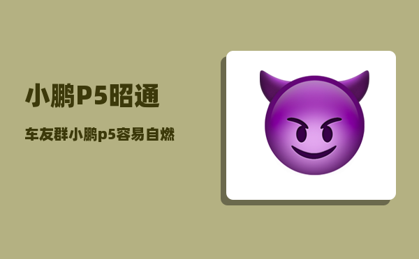 小鹏P5昭通车友群_小鹏p5容易自燃吗-图1