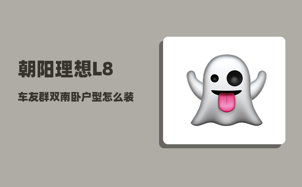 朝阳理想L8车友群_双南卧户型怎么装修-图1