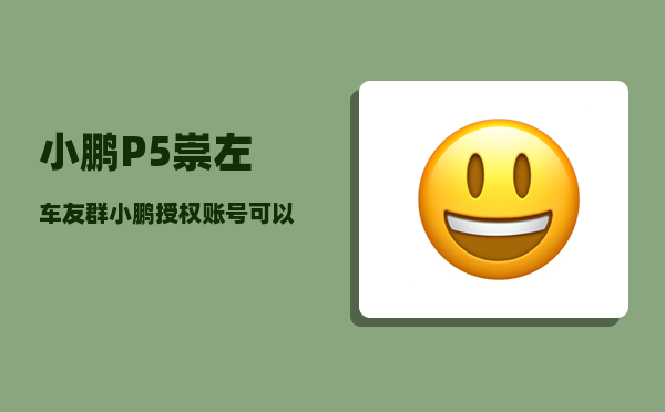 小鹏P5崇左车友群_小鹏授权账号可以看车辆位置吗-图1