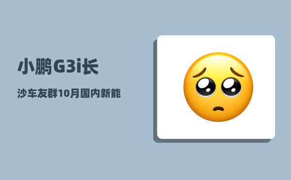 小鹏G3i长沙车友群_10月国内新能源车总销量-图1