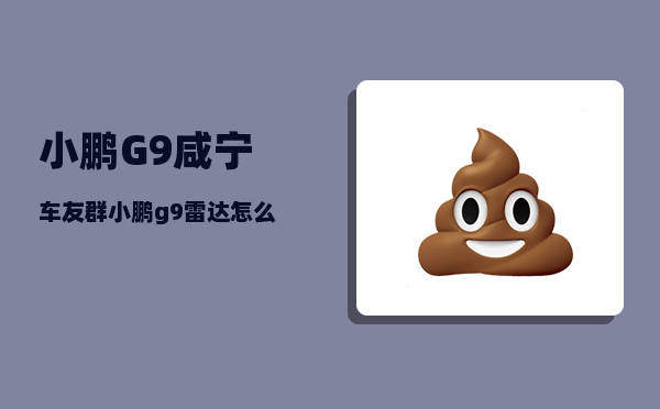 小鹏G9咸宁车友群_小鹏g9雷达怎么贴-图1
