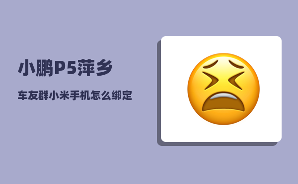 小鹏P5萍乡车友群_小米手机怎么绑定小鹏汽车nfc-图1