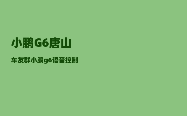 小鹏G6唐山车友群_小鹏g6语音控制可以关闭吗-图1