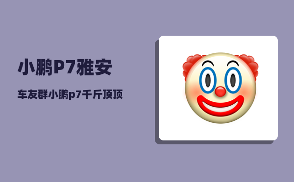 小鹏P7雅安车友群_小鹏p7千斤顶顶哪里-图1