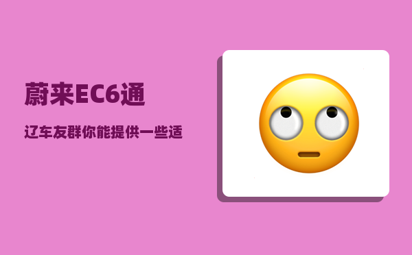 蔚来EC6通辽车友群_你能提供一些适合长途自驾的车型吗-图1