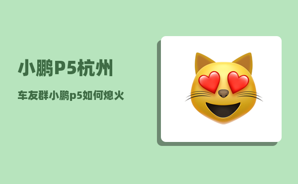 小鹏P5杭州车友群_小鹏p5如何熄火-图1