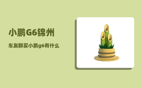 小鹏G6锦州车友群_买小鹏g6有什么赠品-图1