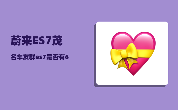 蔚来ES7茂名车友群_es7是否有6座-图1