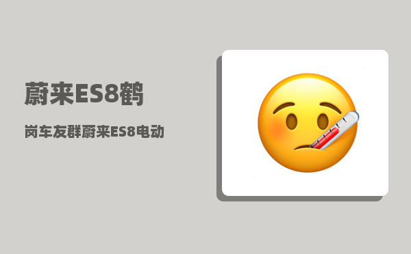 蔚来ES8鹤岗车友群_蔚来ES8电动汽车再发自燃-图1