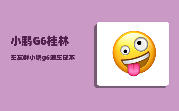小鹏G6桂林车友群_小鹏g6质量怎么样-图1