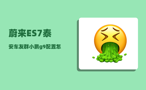 蔚来ES7泰安车友群_小鹏g9配置怎么选-图1