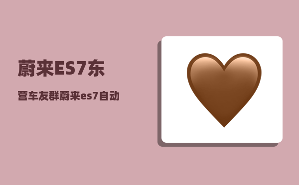 蔚来ES7东营车友群_蔚来es7自动驾驶会超车吗-图1