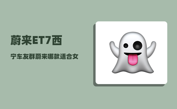 蔚来ET7西宁车友群_蔚来哪款适合女生-图1