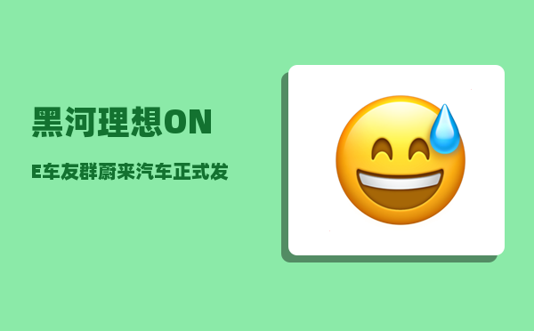 黑河理想ONE车友群_蔚来汽车正式发布-图1