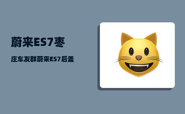 蔚来ES7枣庄车友群_蔚来ES7后盖关不上怎么处理-图1