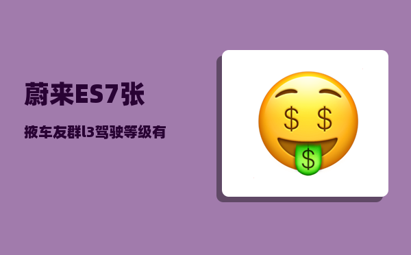 蔚来ES7张掖车友群_l3驾驶等级有什么车-图1