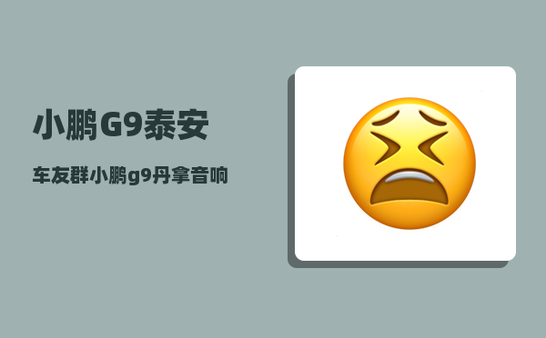 小鹏G9泰安车友群_小鹏g9丹拿音响是什么级别-图1