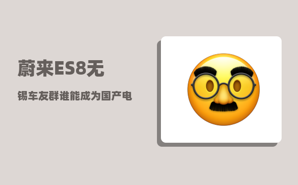 蔚来ES8无锡车友群_谁能成为国产电动车佼佼者-图1
