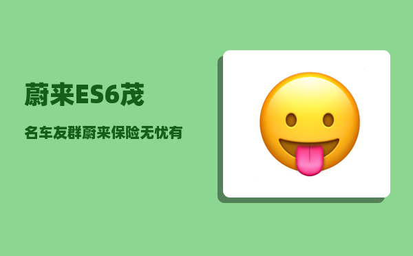 蔚来ES6茂名车友群_蔚来保险无忧有什么服务-图1