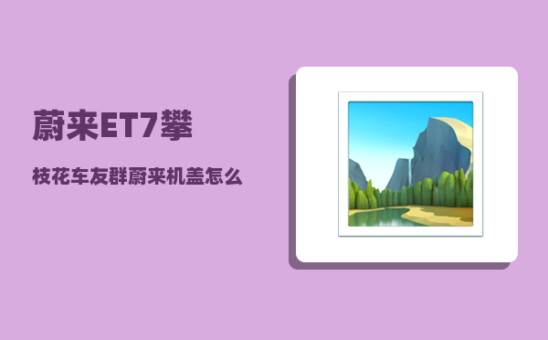 蔚来ET7攀枝花车友群_蔚来机盖怎么开-图1