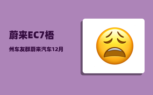 蔚来EC7梧州车友群_蔚来汽车12月销量-图1