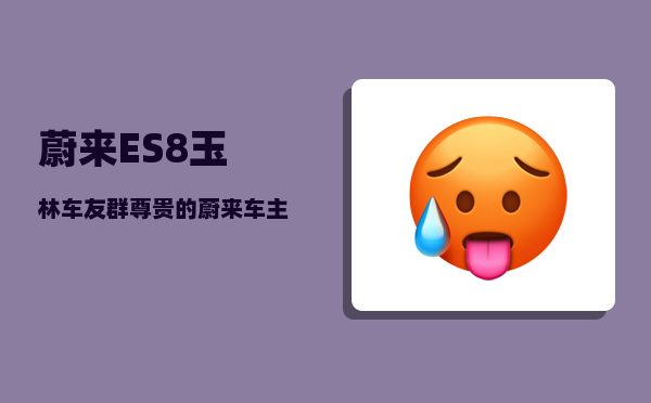 蔚来ES8玉林车友群_尊贵的蔚来车主欢迎语-图1