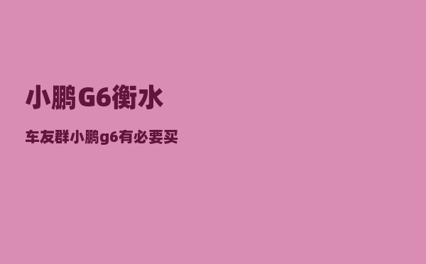 小鹏G6衡水车友群_小鹏g6有必要买电池终身质保吗-图1