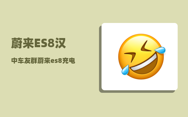 蔚来ES8汉中车友群_蔚来es8充电结束怎么显示90-图1