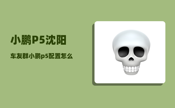 小鹏P5沈阳车友群_小鹏p5配置怎么选-图1