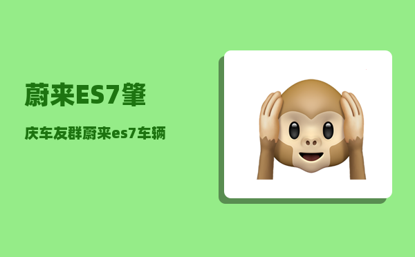蔚来ES7肇庆车友群_蔚来es7车辆如何下电-图1