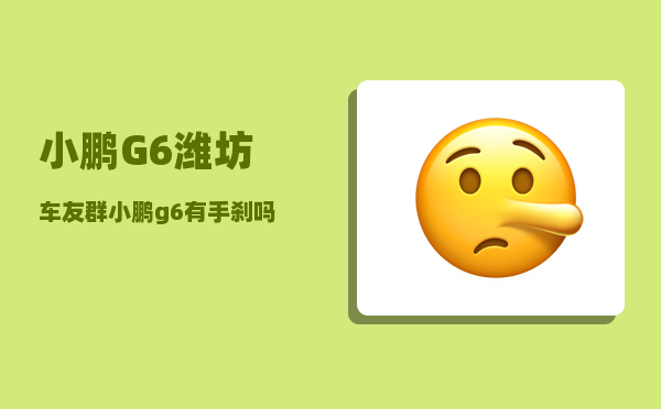 小鹏G6潍坊车友群_小鹏g6有手刹吗-图1