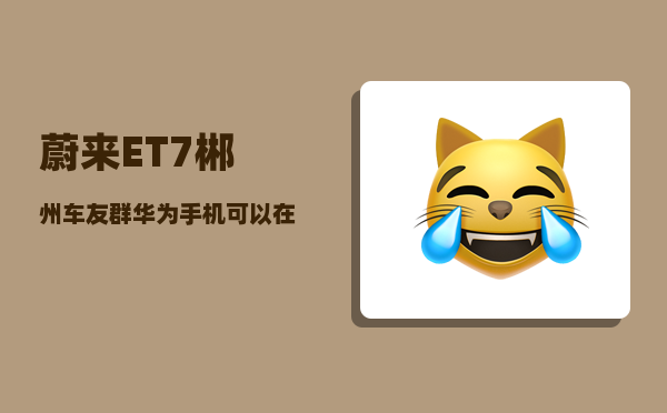 蔚来ET7郴州车友群_华为手机可以在蔚来车无线充电吗-图1