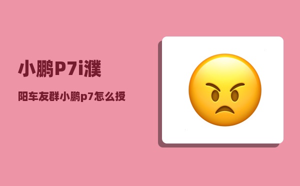 小鹏P7i濮阳车友群_小鹏p7怎么授权另部手机-图1