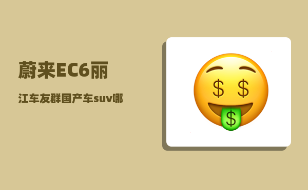 蔚来EC6丽江车友群_国产车suv哪个牌子好-图1