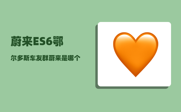 蔚来ES6鄂尔多斯车友群_蔚来是哪个省-图1