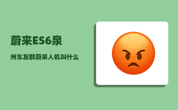 蔚来ES6泉州车友群_蔚来人机叫什么-图1