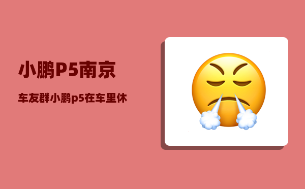 小鹏P5南京车友群_小鹏p5在车里休息可以断电吗-图1