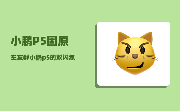 小鹏P5固原车友群_小鹏p5460实际能跑多少公里-图1