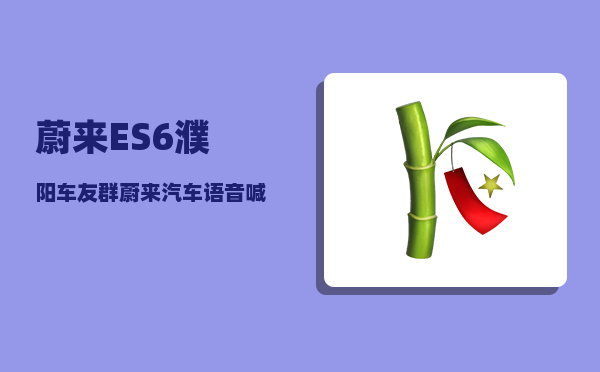 蔚来ES6濮阳车友群_蔚来汽车语音喊什么-图1