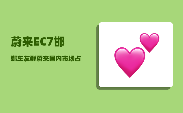 蔚来EC7邯郸车友群_蔚来国内市场占有率多少-图1